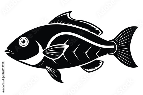 An elegant black fish swims toward the viewer in this image