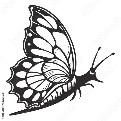 A stylized black butterfly displays intricate wing patterns and delicate antennae in this monochrome image