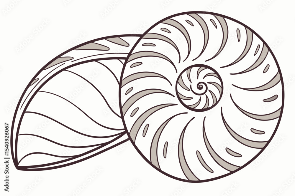 Nautilius shell and leaf with simple contour lines on a bright backdrop Nautilius shell and leaf with simple contour lines on a bright backdrop