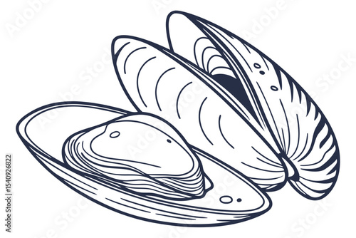Two freshly opened mussel shells are displayed with detailed line work on a white background
