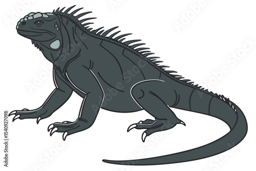 Massive dark iguana is standing quietly, showcasing its sharp dorsal spines and unique skin