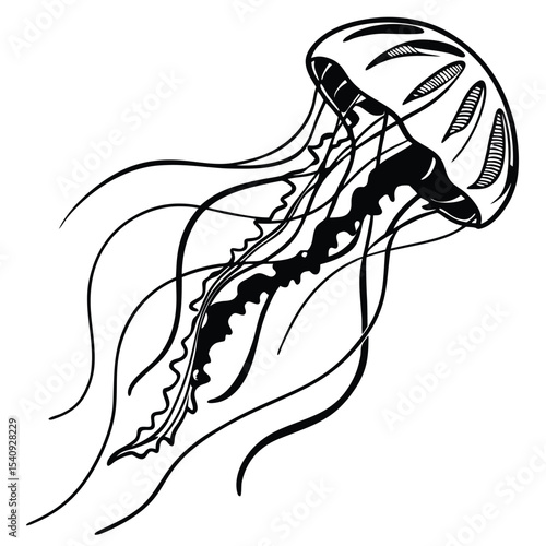 Isolated jellyfish floats gracefully, showcasing its unique black and white patterns and textures