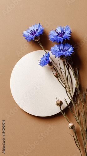 Beautiful Blue Flowers and Circular Paper on a Brown Background for Artistic ...