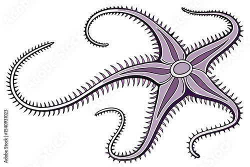 The spiny pale purple brittle star displays its five serpentine arms gracefully