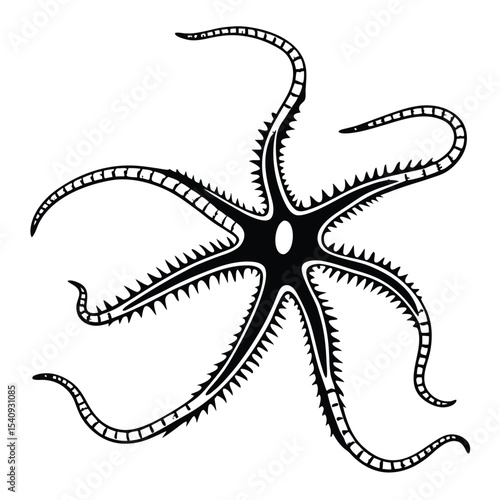 Detailed black brittle star presents multiple arms, adorned with spikes, against the white backdrop