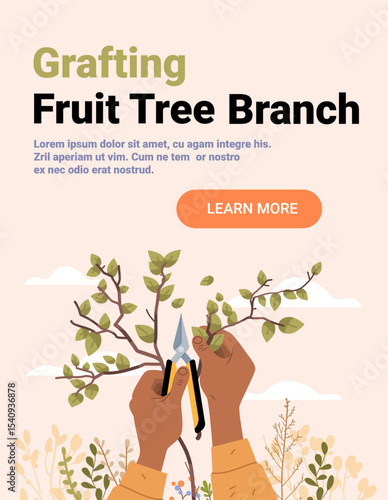 Grafting fruit tree branch gardening hands holding pruner cutting twig green leaves outdoor nature background web banner