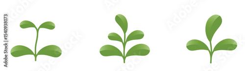 Green growing plant sprouts. Nature, seedling and planting design elements. Isolated vector images