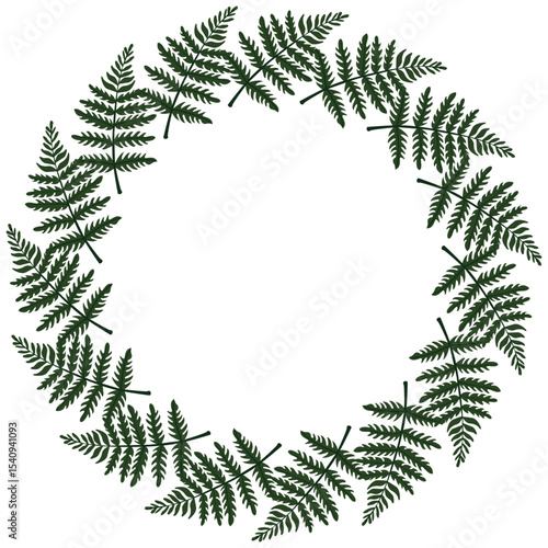 A botanical frame made of green fern leaves on a white background. Vector drawing of green leaves of a plant.