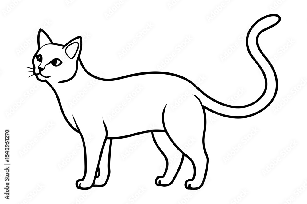 Obraz premium Vector illustration of a cute black and white domestic cat silhouette