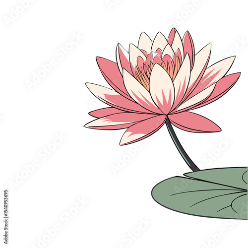 radiant  lotus  tranquil  transparent
