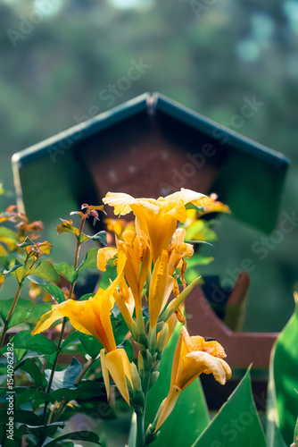flower and bird house