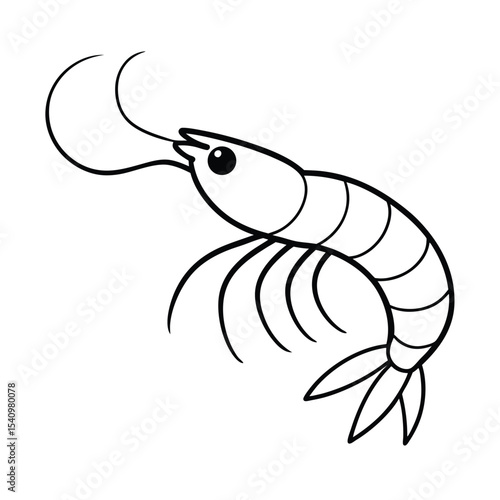 Detailed illustration of a shrimp with prominent antennae and legs perfect for seafood menus educational materials or aquatic themed designs
