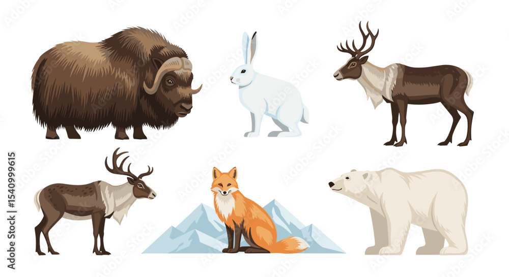 Obraz premium Illustration of arctic animals including muskox hare reindeer fox bear