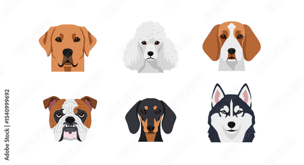 Illustration of six different dog breeds arranged on a white background Illustration of six different dog breeds arranged on a white background