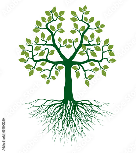 Drawing of a tree with roots, spreading branches and green leaves. Outline illustration on white background