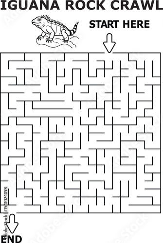 Iguana rock crawl maze fun kids activity game