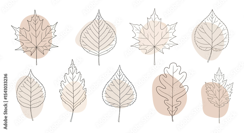 Fototapeta premium Minimalist Hand Drawn Autumn Leaves with Beige Watercolor Background on White 