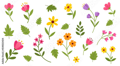 Colorful Hand Drawn Wildflower Collection with Green Leaves on White Background
