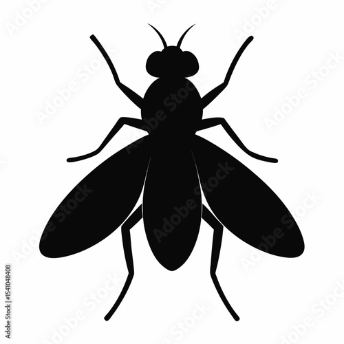 Simple Black Silhouette of a Fly on a White Background