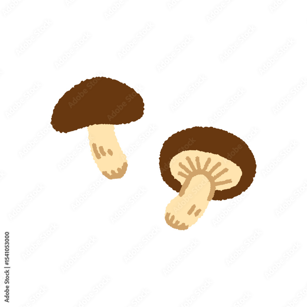 Fototapeta premium 椎茸のかわいい手描きイラスト素材