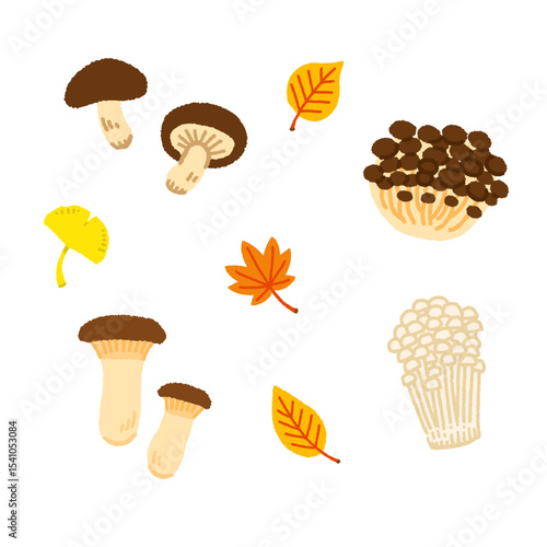 秋のきのこイラストセット（エリンギ・しめじ・えのき・椎茸）