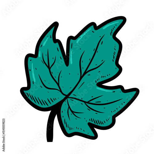 illustration grape with leaves
