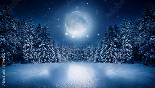 mystical winter forest at night moonlight shining through trees with snow covering ground