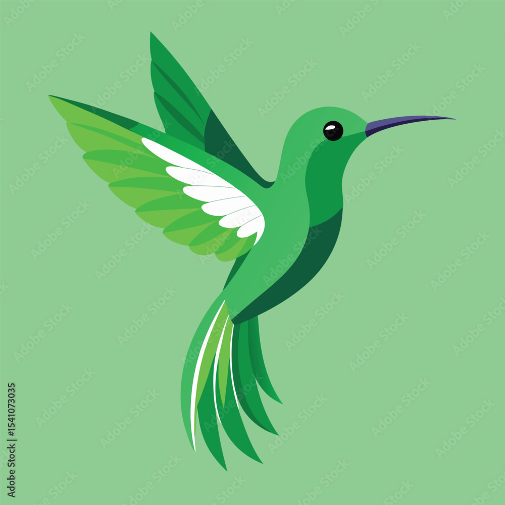 Fototapeta premium Green Hummingbird Vector Illustration on Green Background
