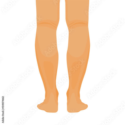 Man legs barefoot back view isolated on white background