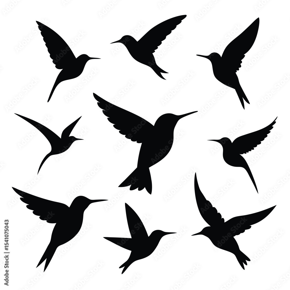 Fototapeta premium Set of 9 Black Hummingbird Silhouettes Vector Illustration