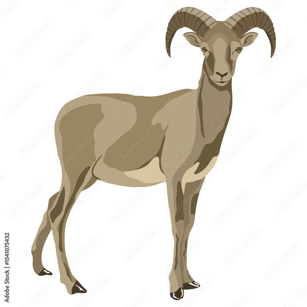 Obraz premium PNG mountain goat illustration, wild animal sticker, transparent background