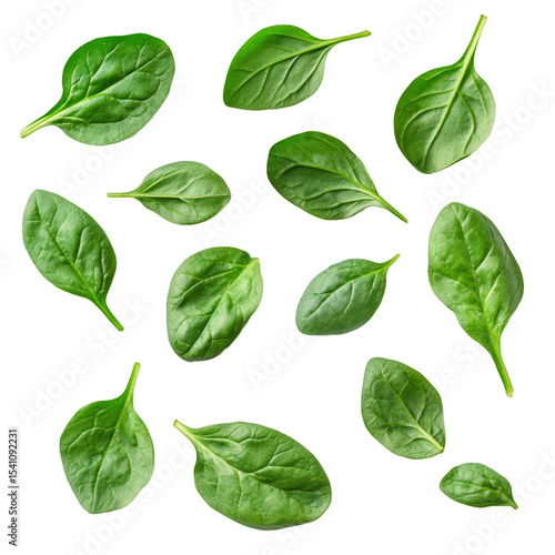 top-down flat lay of leafy green spinach leaves, isolated transparent background