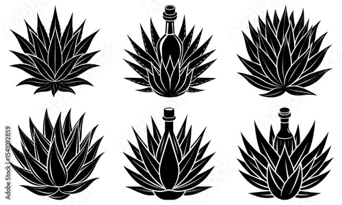 Six agave plants and bottles arranged in two rows in a black and white vector illustration style