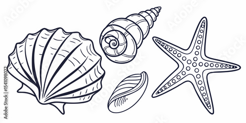 Seashells starfish sea life ocean nature drawing outline vector illustration coloring book page art design