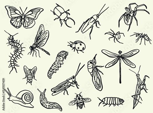 A set of hand-drawn insect illustrations in doodle or line art style. It includes various species, including butterflies, bees, beetles, and dragonflies.