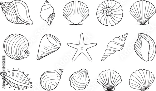 Set of 14 seashell and starfish illustrations vector