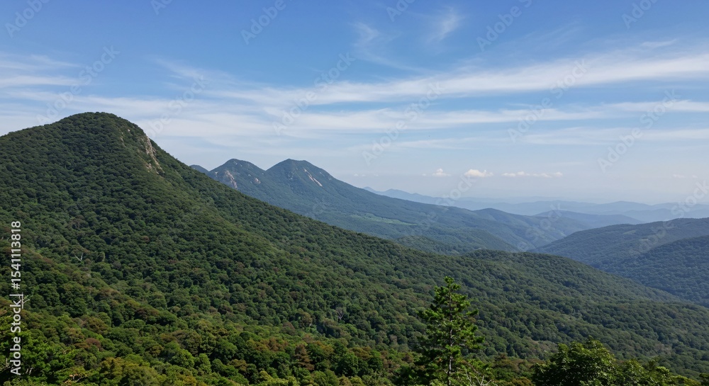 Fototapeta premium a view of the mountains and trees from a lookout
