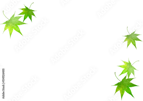 もみじ　緑　水彩　和風　イラスト