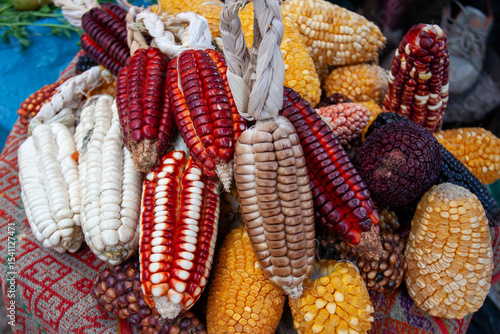 Inca corn has large kernels and can be different colors