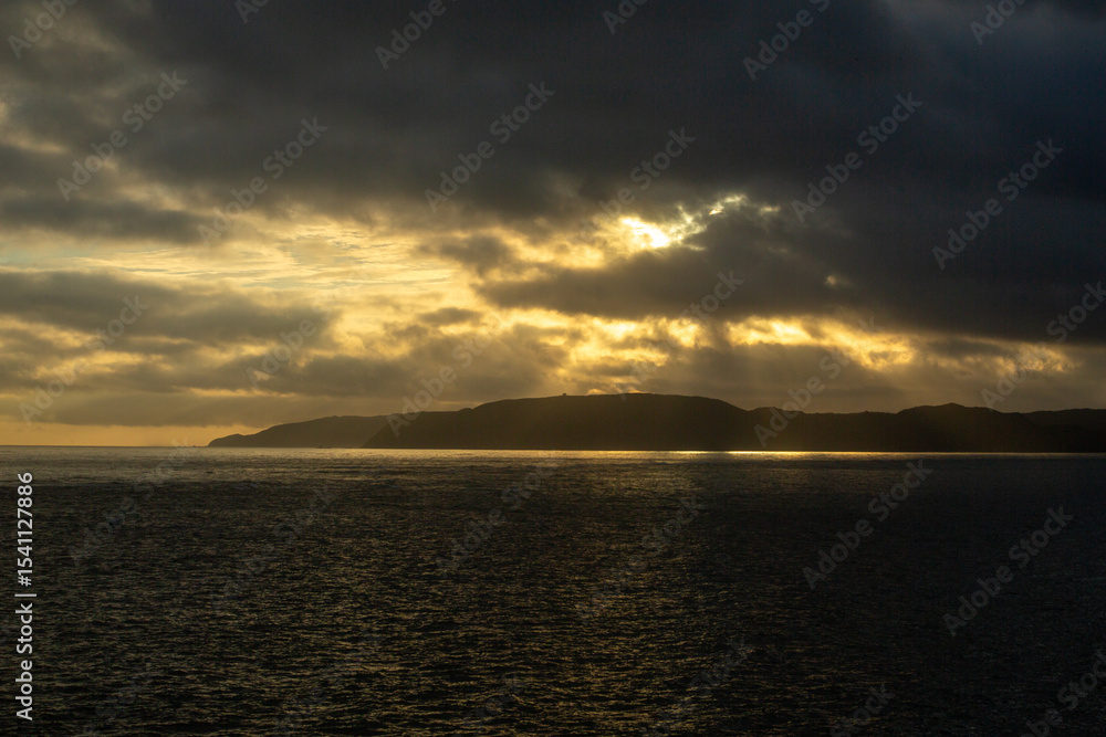 Fototapeta premium 奄美大島の自然。朝の風景。