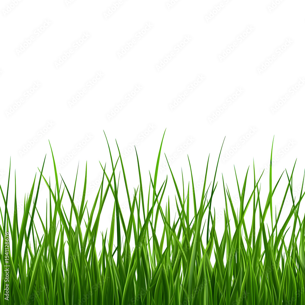Fototapeta premium Lush Green Grass Blades Against a Clean Black Background, Creating Contrast