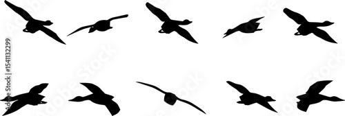 Silhouettes of birds in various flight positions, shown in black on a white background. Perfect for use in design, illustration, or decorative projects requiring flying bird elements.