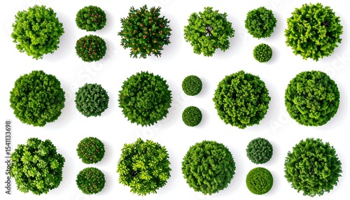 Overhead view of various green trees.