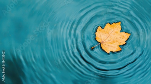Yellow Maple Leaf Floating on Calm Blue Water Surface with Circular Ripples and Tranquil Reflection Effects