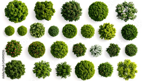 Various top view green bushes on white.