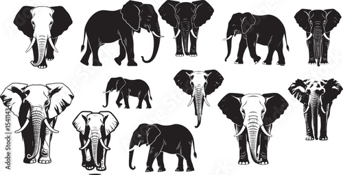 Elephant Silhouette Collection Vector Illustration

Elephant Silhouette Collection Vector Illustration