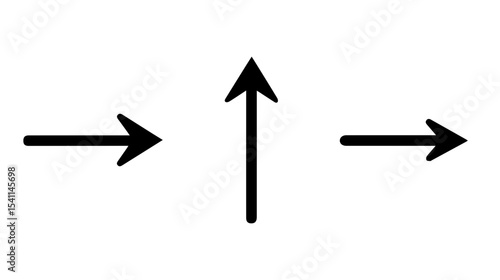 Silhouette of a Beautiful Flower with Intricate Petal Designs against a Soft Gradient Background for Stylish Decorative Uses