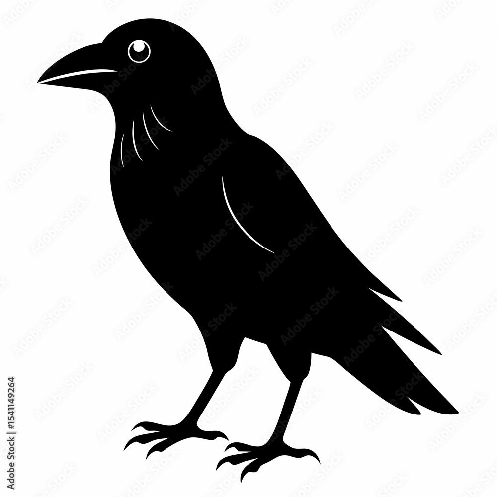 Fototapeta premium American Crow vector black silhouette bird on white background