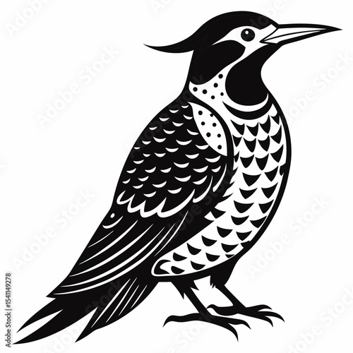 Northern Flicker vector black silhouette on white background