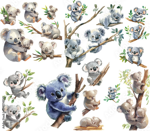 koala watercolor clipart | koala clipart for graphic resources